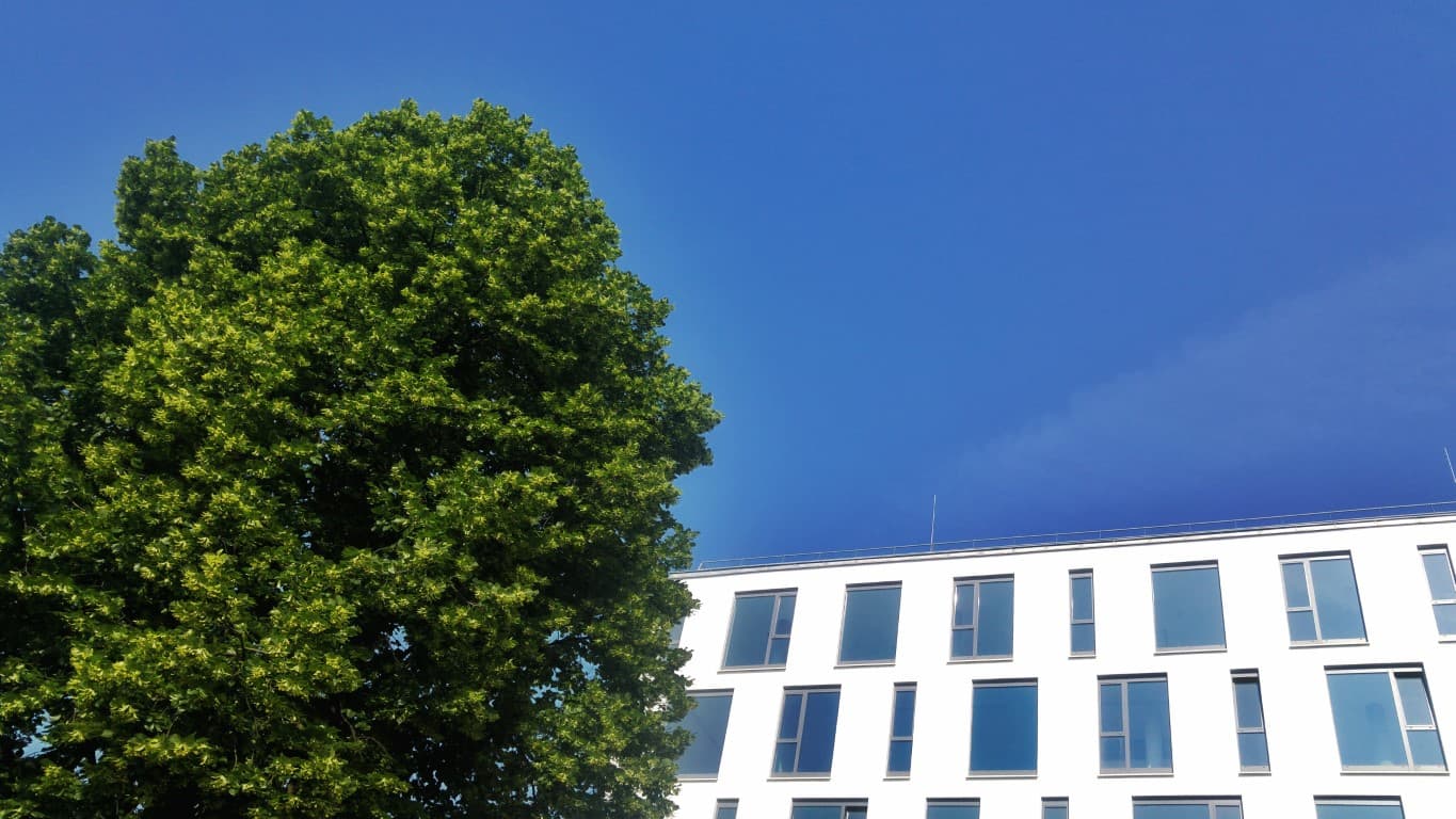 Eco-friendly building design for long-term savings.